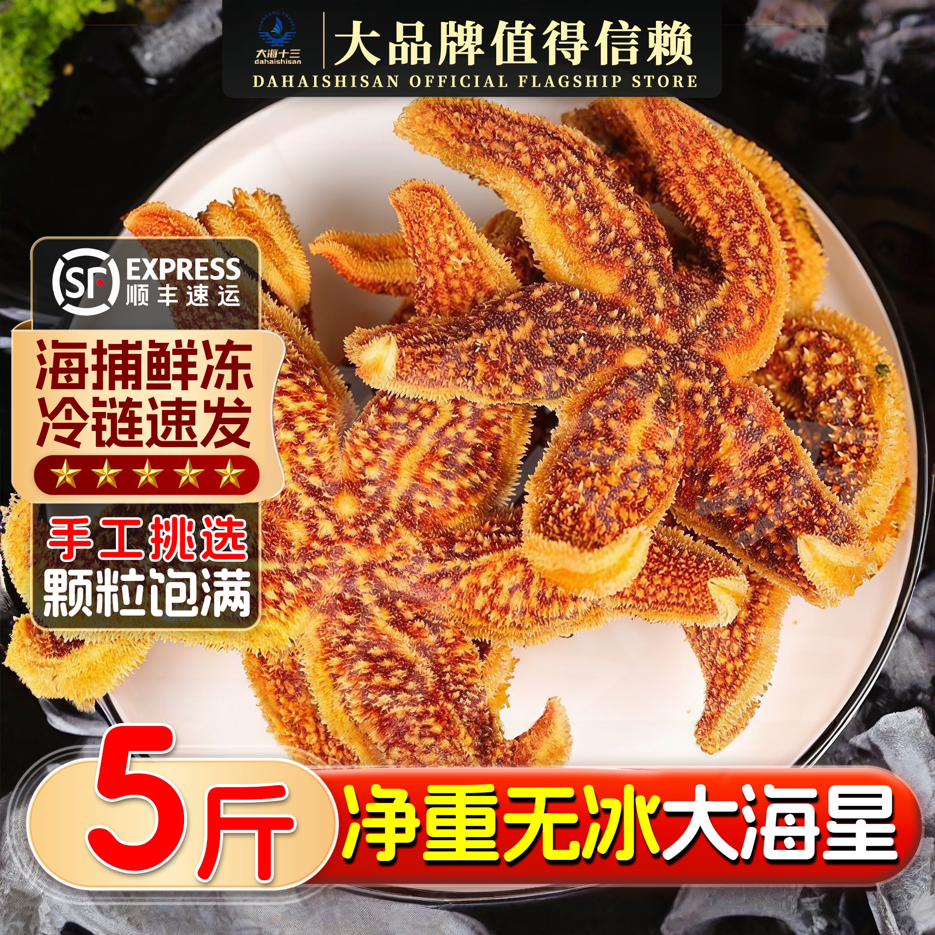 海星鲜活速冻满籽5斤派大星新鲜海星海鲜野生食用五角星顺丰包邮