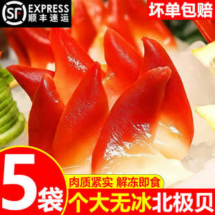 北极贝新鲜冷冻大号北极贝无冰海鲜水产贝类日料刺身食用顺丰