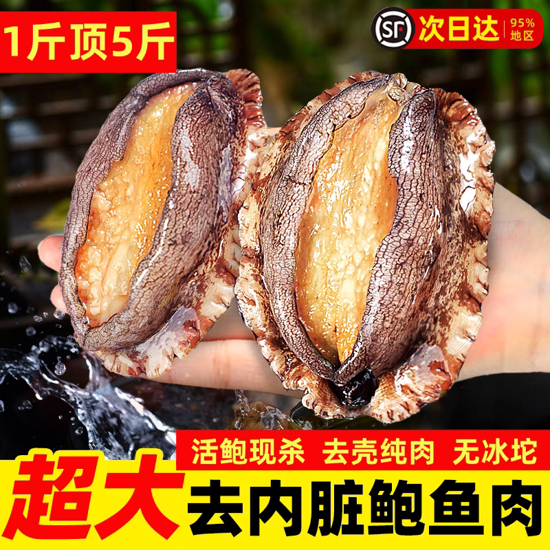 超大号鲍鱼肉顺丰包邮