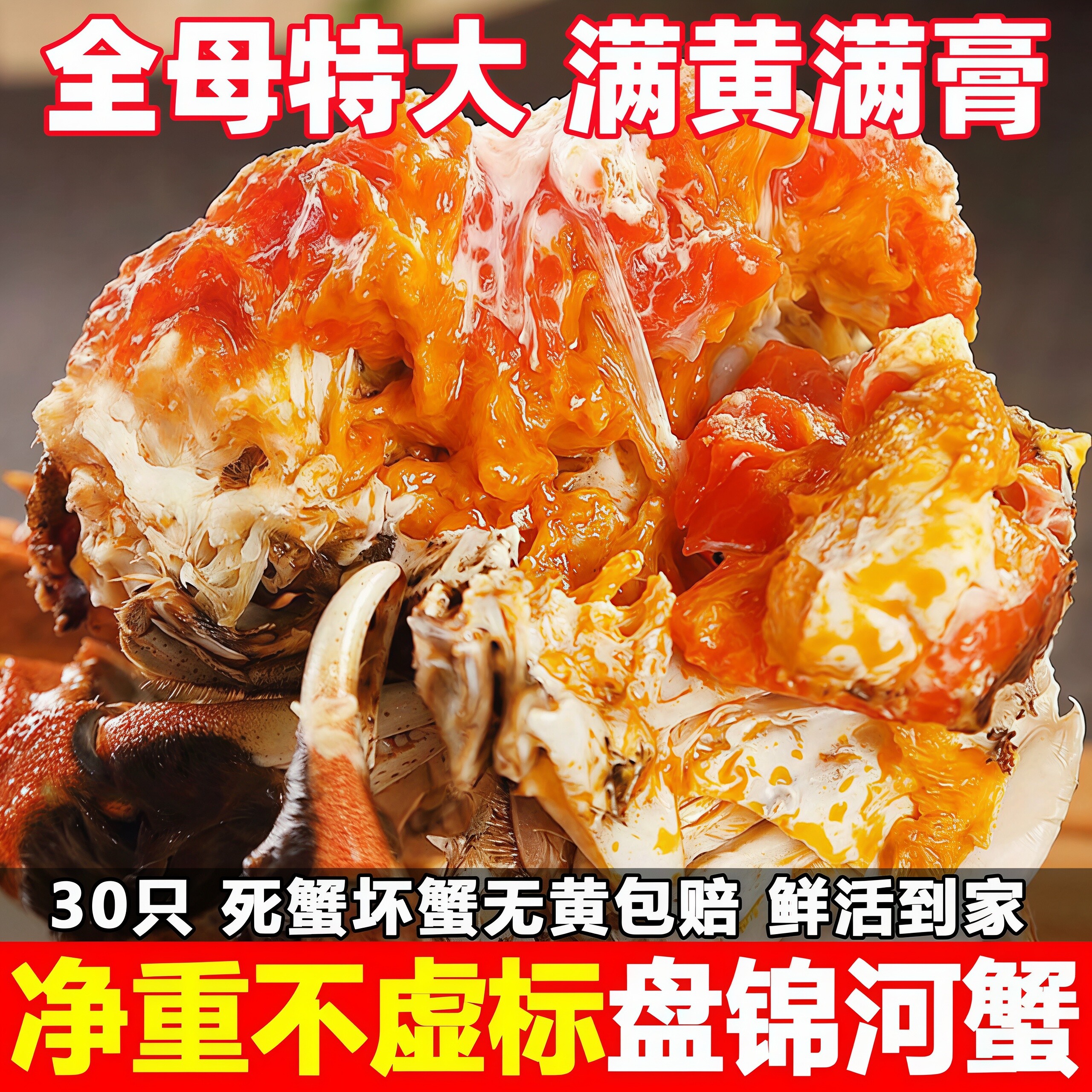 正宗盘锦河蟹全母活蟹大个顶盖肥