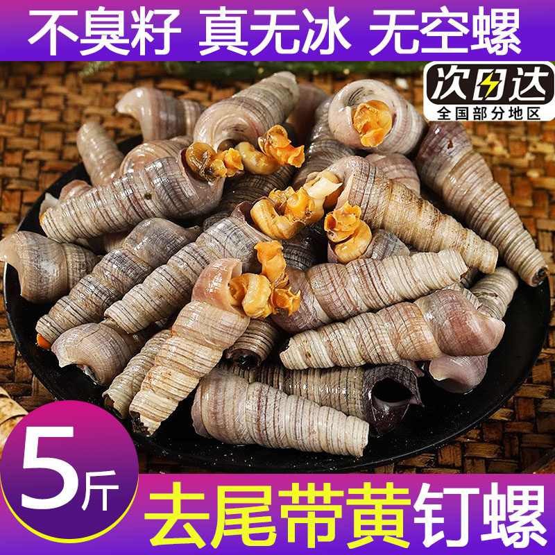 鲜活去尾大号锥螺麻辣捞汁
