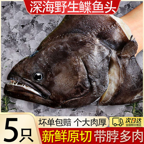 鲽鱼头新鲜冷冻大号比目鱼烧烤