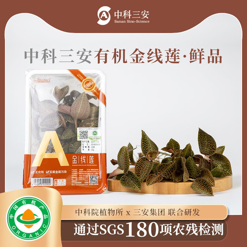 中科三安新鲜有机金线礼盒