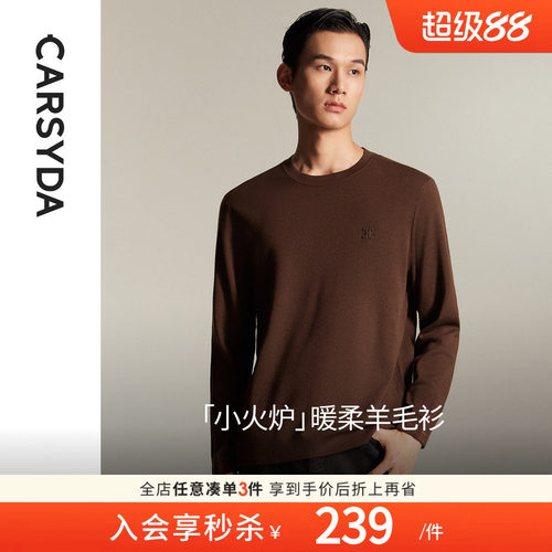 石墨羊毛CARSYDA针织衫圆领