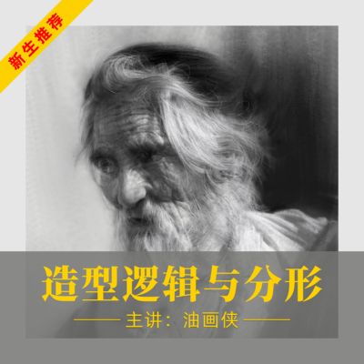 造型逻辑油画侠管郁生 手绘板绘素描教程《造型逻辑与分形》