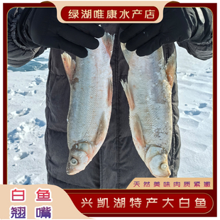兴凯湖速冻大白鱼食用袋装送礼原产地分量足袋装
