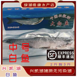 兴凯湖大白鱼特产冬捕速冻二白鱼食用袋装送礼原产地分量足袋装