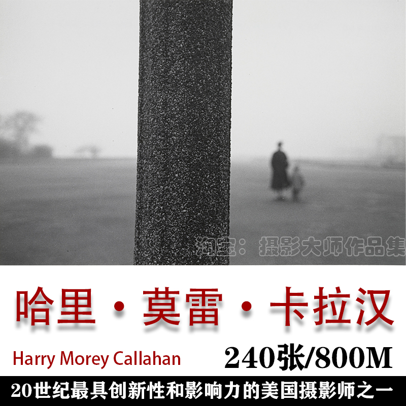 Harry Morey Callahan 哈里·莫雷·卡拉汉  摄影作品集素材