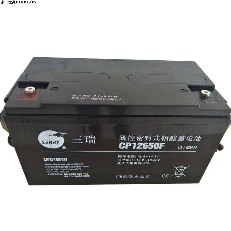 三瑞SENRY蓄电池6FM75-X 12V75AH阀控密封式铅酸蓄电池 UPS电源