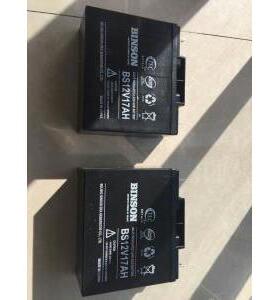 BINSON蓄电池12v17ah、滨松蓄电池12v17ah机房ups