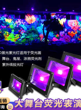 12V24V220V荧光画紫光灯酒吧派对舞台鬼屋涂鸦led黑光紫外线灯
