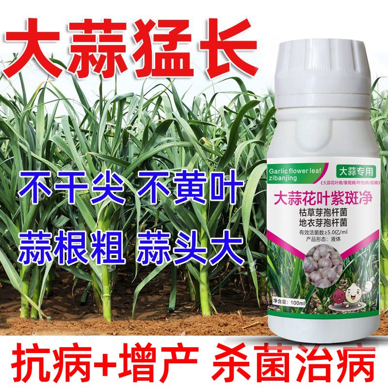 大蒜锈病专用药韭蒜苗干尖杀菌药根腐病黄叶病紫斑病锈病杀菌剂