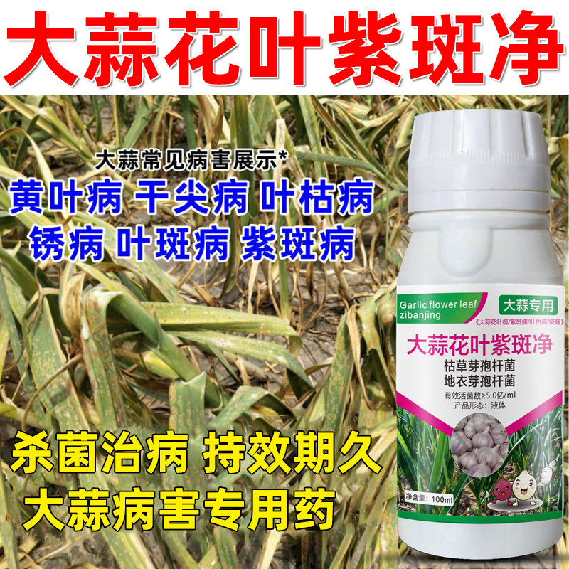 大蒜病全治大蒜专用药黄叶干尖腐烂预防加治疗大蒜专用杀菌剂正品