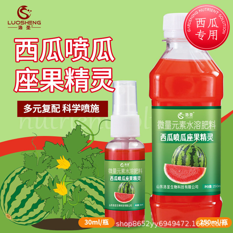 西瓜专用坐果灵点花药喷
