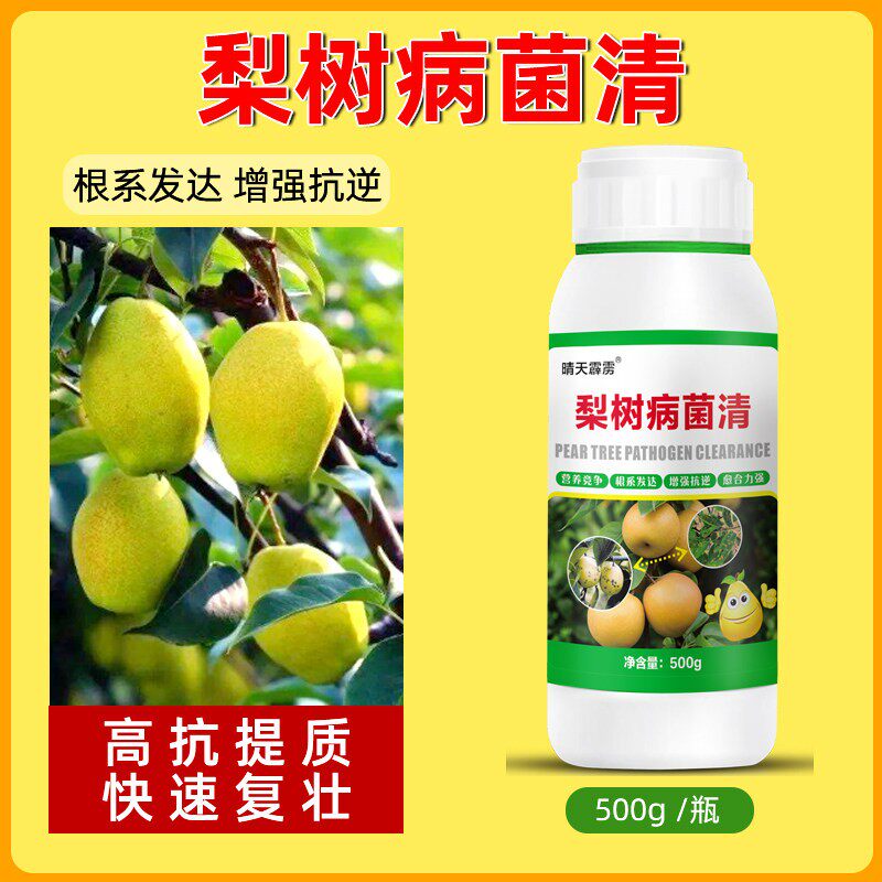 梨树锈病专用药梨树锈病清梨树病害药锈病黄叶黄点微生物菌剂正品