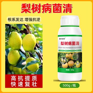 梨树锈病杀菌梨树病菌清炭疽病羊胡子病黑斑白粉病通用农用杀菌剂