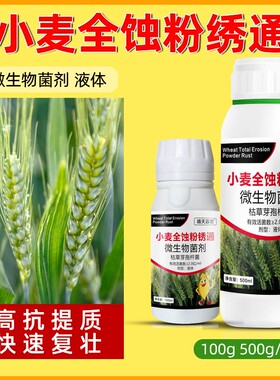小麦黄叶烂根黑穗病根腐病赤霉病全蚀病小麦病害农用药微生物菌剂