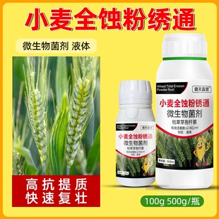 小麦黄叶烂根黑穗病根腐病赤霉病全蚀病小麦病害农用药微生物菌剂