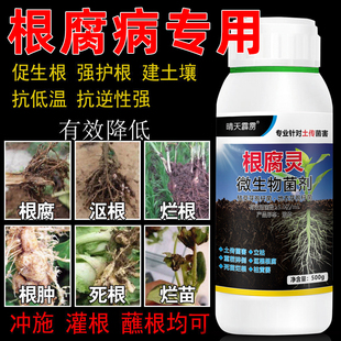 根腐杀菌药土壤重茬净防死根烂根根肿青枯病软腐病根腐病专用药