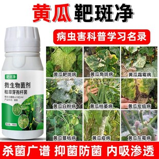 黄瓜病菌清病害药黄瓜黄点靶斑病角斑病白粉病灰霉病农用生物菌剂