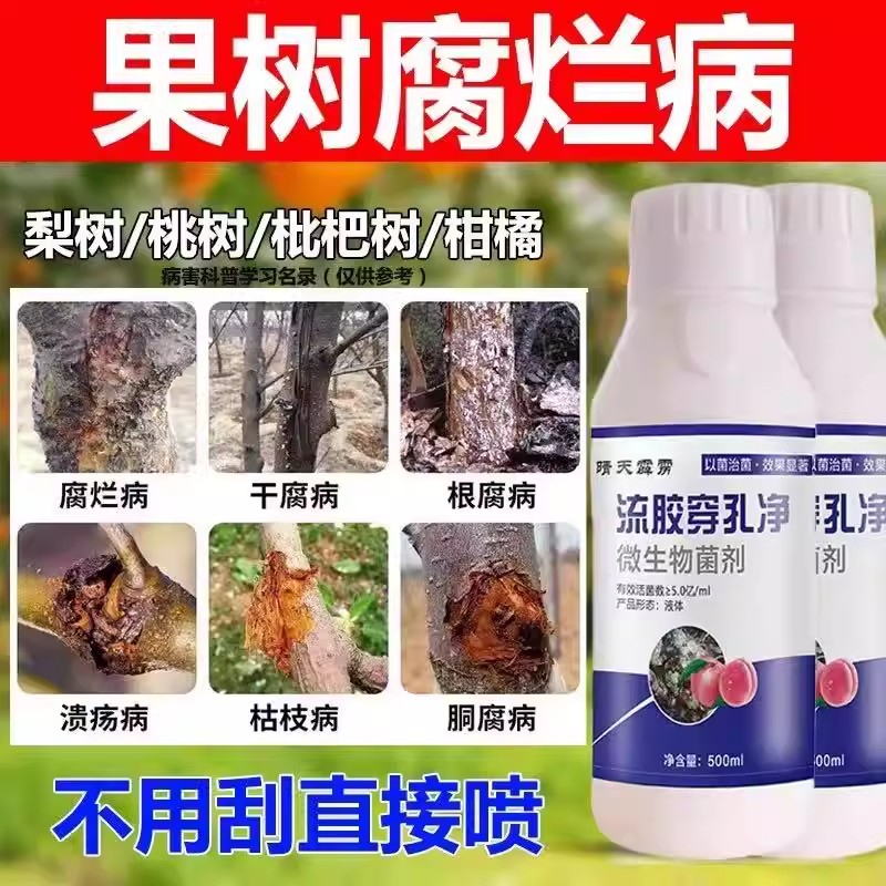 果树腐烂病柑橘病害药桃树流胶病穿孔枇杷树脱皮病农用微生物菌剂