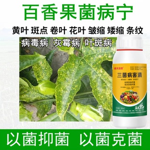百香果病害专用药叶斑黄叶病卷叶病灰霉病百香果树生物菌剂水溶肥