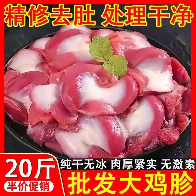 散养新鲜鸡胗冷冻生鸡肫鸡杂农家鸡内金鸡胃食材烧烤半成品食材