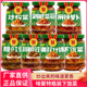 味聚特炒榨菜脆豇豆四川特产麻辣萝卜黄花什锦咸菜开味下饭菜271g