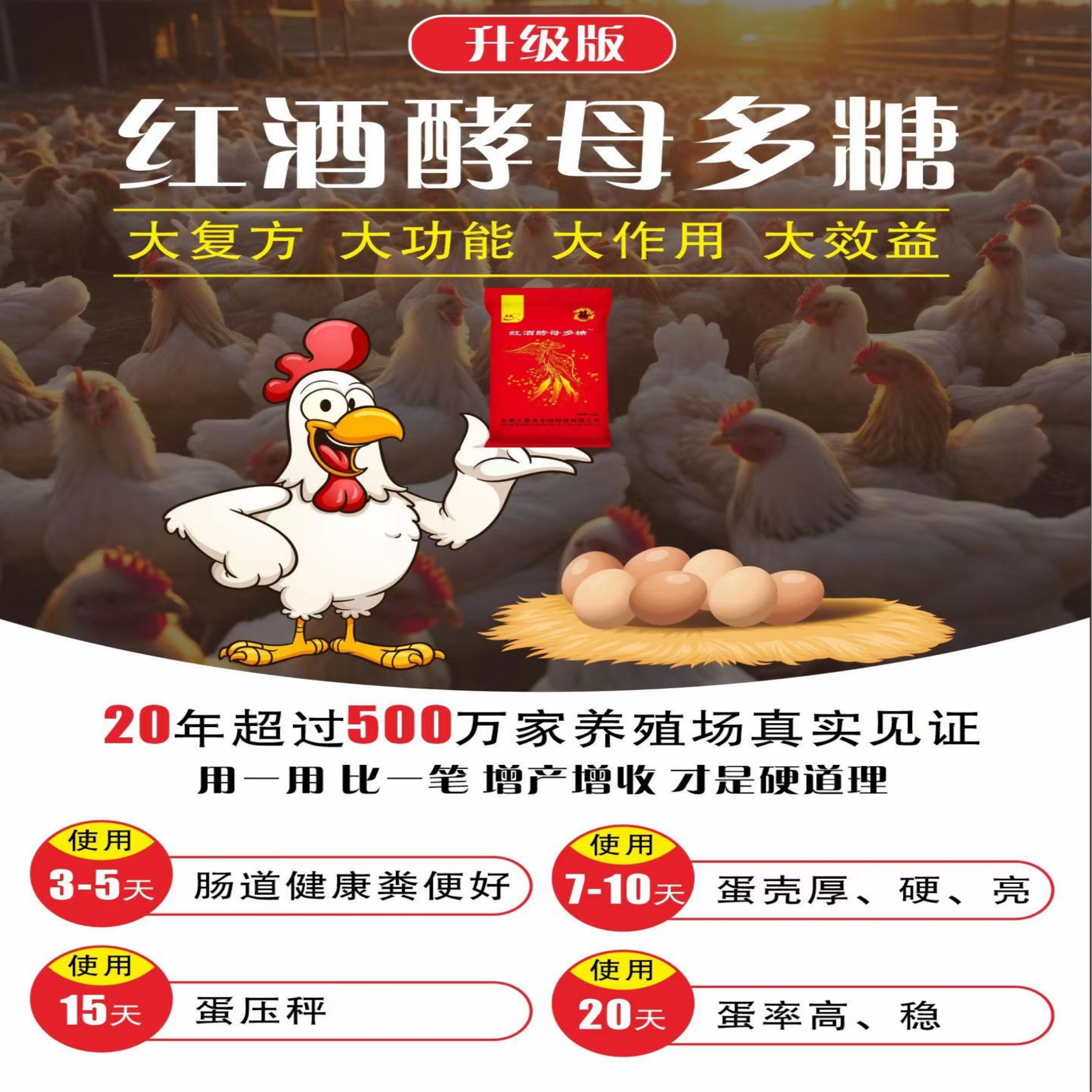 家鸭鹅增蛋调肠道改善蛋质鸡饲料