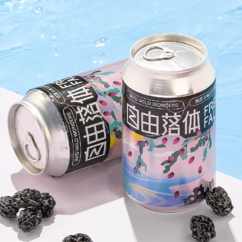 道酿伏魔IPA腾云重新加载自由落体哈密瓜烟熏乌梅艾尔闪耀酒花0糖