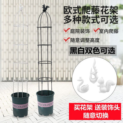 绿瑜岚月季铁线莲花柱爬藤架花架