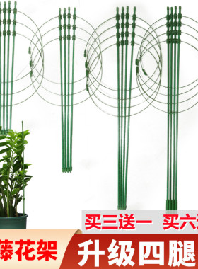 花架爬藤架子花盆植物蟹爪兰月季铁线莲小支架攀爬架花支架支撑杆