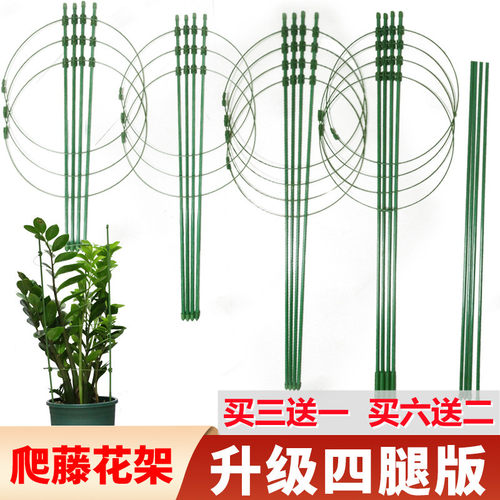 爬藤支架花架子攀爬花架铁线莲