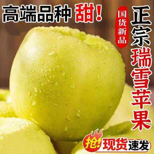 陕西白水瑞雪苹果5斤新鲜水果应当季整箱青苹果包邮糖心脆甜丑果W