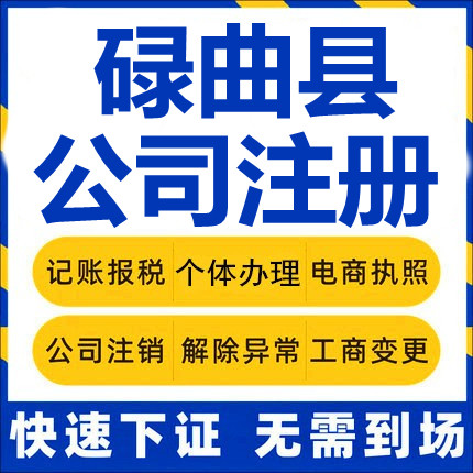 碌曲公司注册个体工商营业执照代办公司注销企业变更股权异常代理 - 实物图