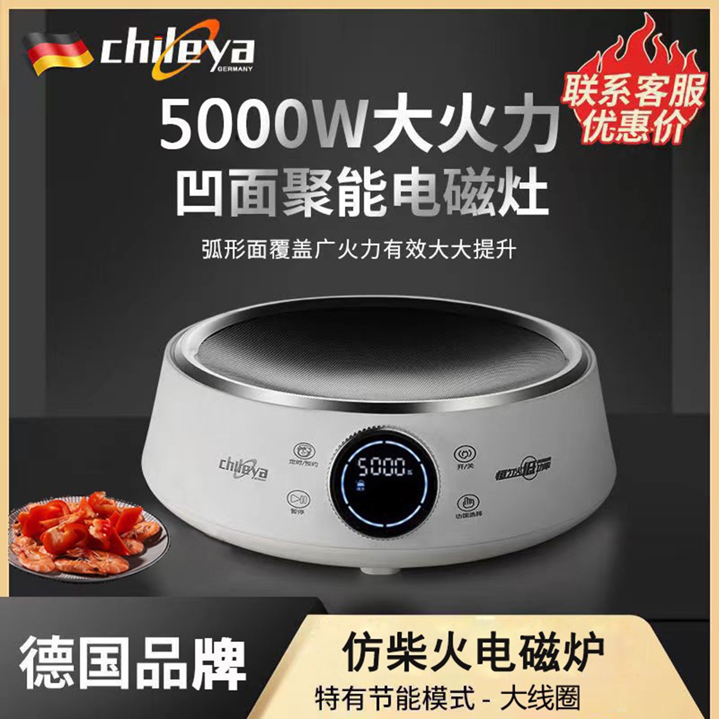 德国Chileya/智乐雅5000W大功率