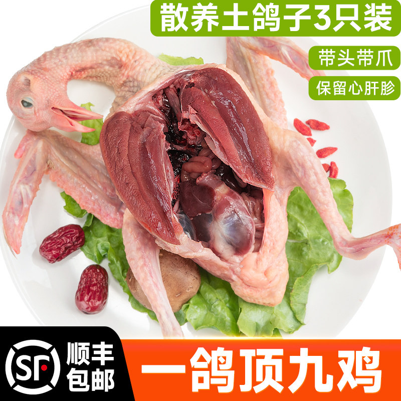 鸽子新鲜现杀乳鸽生鲜滋补煲汤鸽子肉农家散养鲜炖土鸽子,水产肉类/新鲜蔬果/熟食,乳鸽,淘宝优惠券,粉丝福利购,淘宝优惠卷