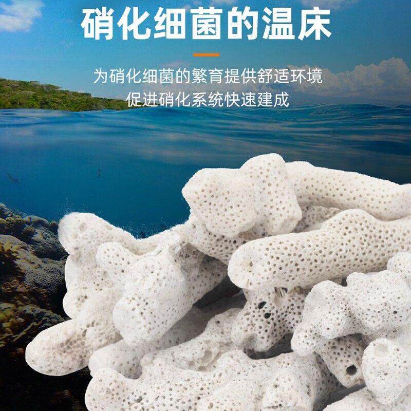 优质珊瑚骨鱼缸滤材珊瑚砂珊瑚石碎珊瑚骨装饰水族造景过滤材料