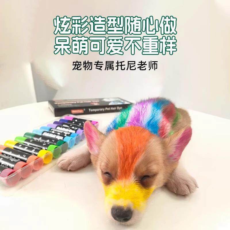 狗狗染发剂宠物专用一次性染色剂染毛膏泰迪白色比熊博美染色套装