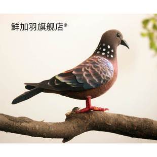 动物模型仿真信鸽斑鸠灰鸽子野鸽子道具摄影园林配饰摆件玩具