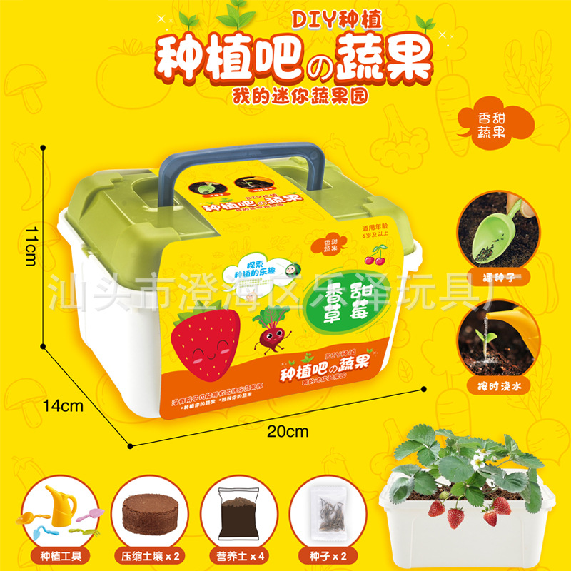 包邮DIY手工绿植套装礼物幼儿园生物教育花卉种子儿童种植小盆栽