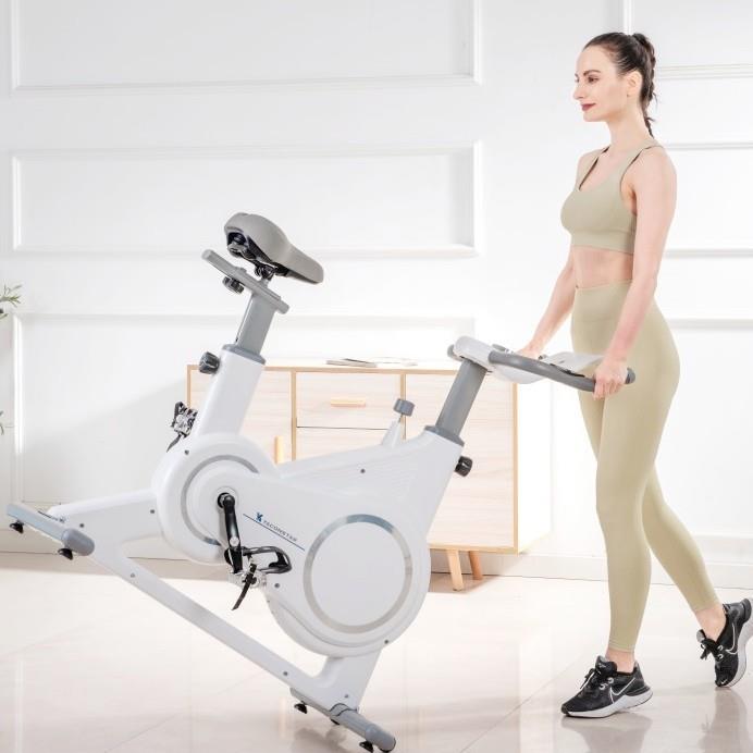 飞梭十档阻力调节动感单车智能电磁控静音全包可充电健身器材