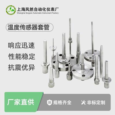 定制热电偶温度传感器套管 带螺栓热电阻套件 不锈钢法兰工厂