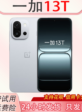 OnePlus/一加 一加 13T小屏大魔王骁龙8至尊旗舰芯性能超强小直屏