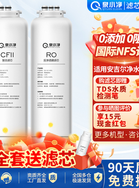泉小净适用安吉尔净水器滤芯哪吒800G/pro2500/J3378/3376滤芯