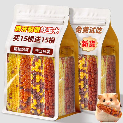 【日期新】仓鼠玉米棒