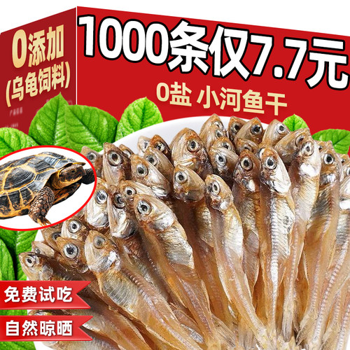无盐小河鱼干乌龟粮食食物饲料