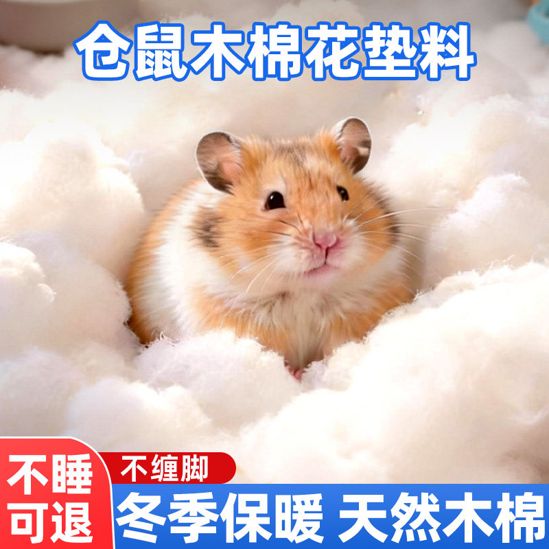 董宇晖推荐!仓鼠垫料木棉花