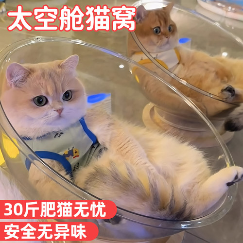 30斤肥猫无忧！太空舱猫窝转盘