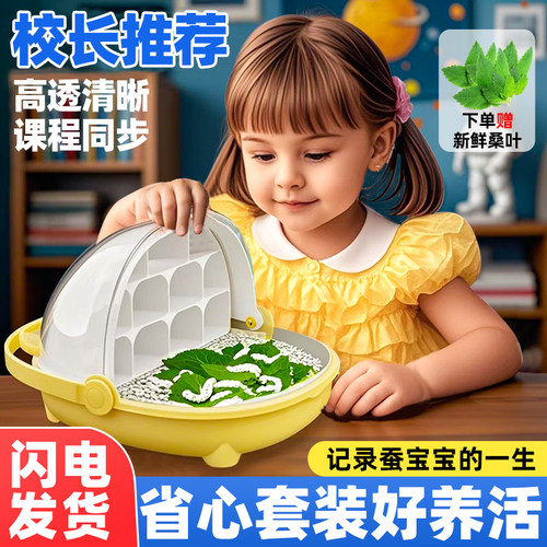 学生养蚕套装！蚕宝宝太空舱